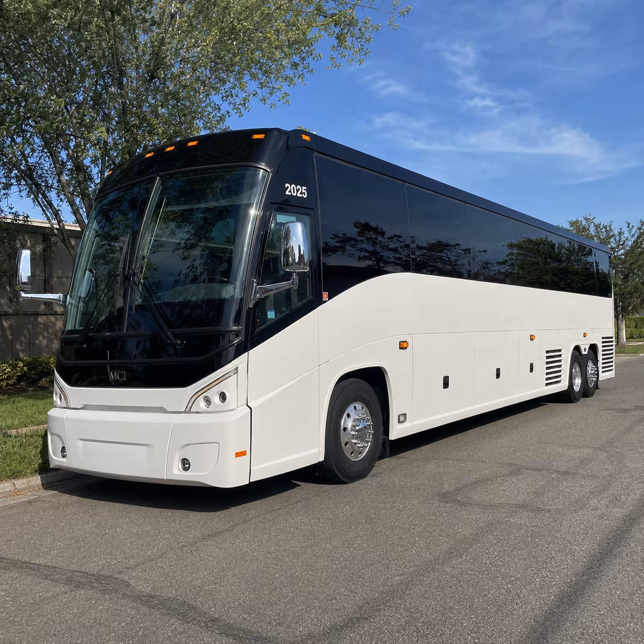 chandler 56 passenger charter bus